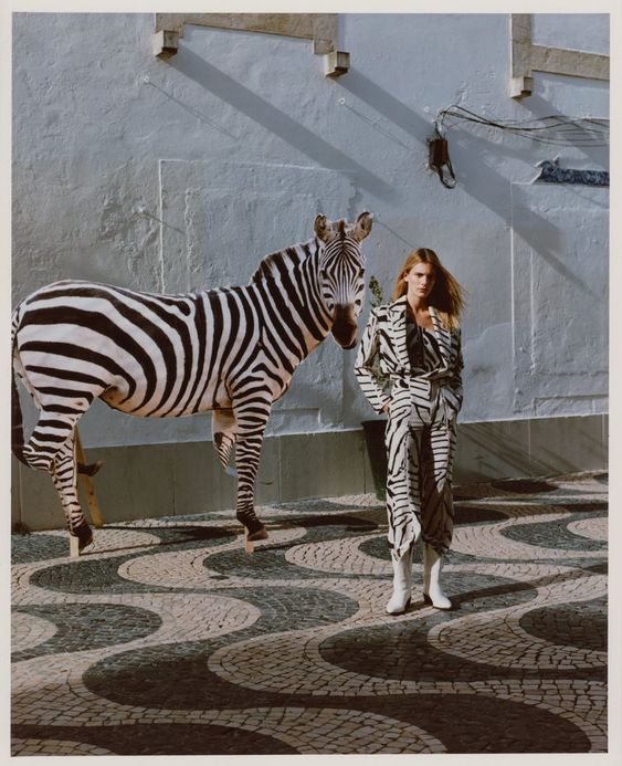 Huidige Intens Kwijtschelding Fashion brands: Keep on going wild with the zebra print trend this season